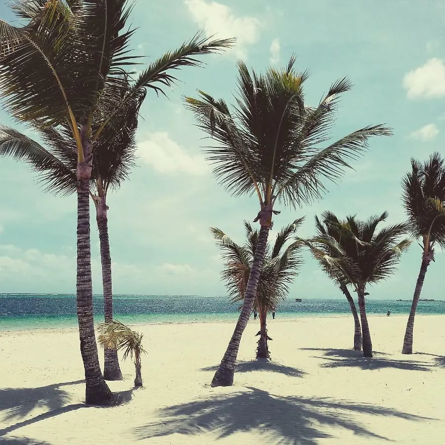 Riviera Punta Cana Eco Travelers